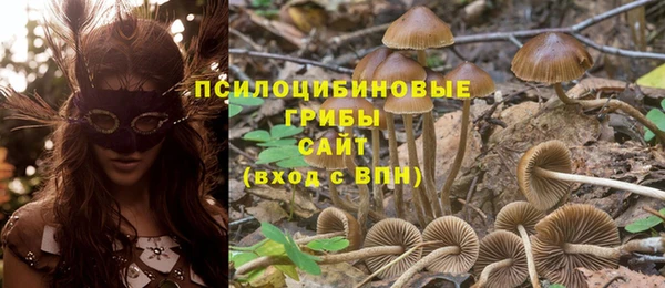 PSILOCYBIN Алзамай
