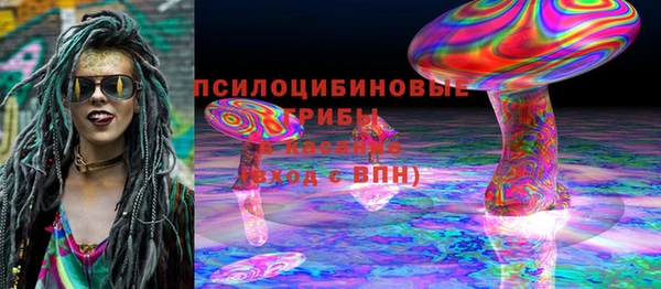 PSILOCYBIN Алзамай