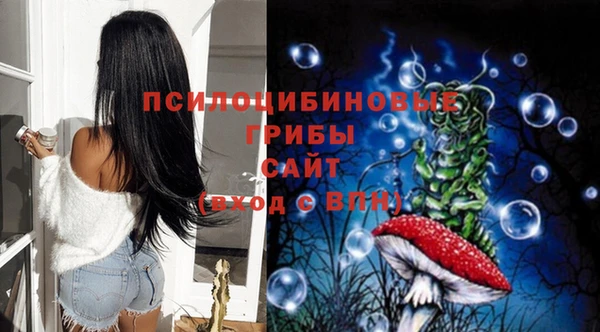 PSILOCYBIN Алзамай