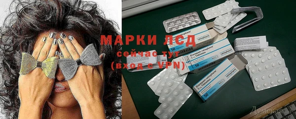 тгк Абинск